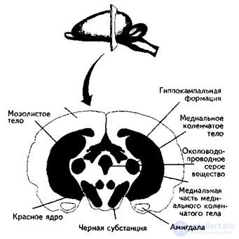 7. PSYCHOPHYSIOLOGY OF EMOTIONS