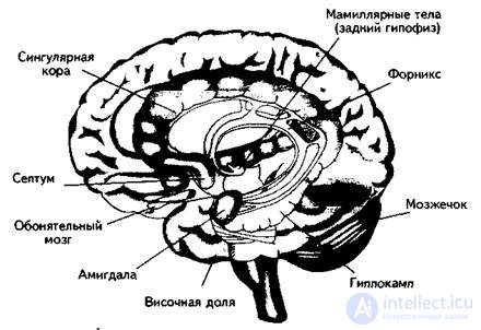 7. PSYCHOPHYSIOLOGY OF EMOTIONS