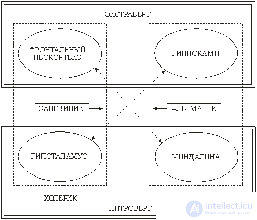 7. PSYCHOPHYSIOLOGY OF EMOTIONS