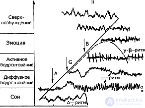 3. PSYCHOPHYSIOLOGY OF FUNCTIONAL STATES