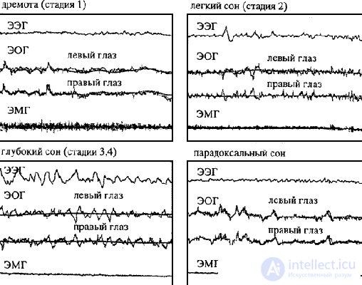 3. PSYCHOPHYSIOLOGY OF FUNCTIONAL STATES