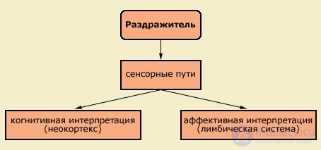 3. PSYCHOPHYSIOLOGY OF FUNCTIONAL STATES