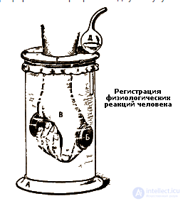 2.3. Indicators of Cardiovascular System Activity, Muscular System Activity, Eye Reactions