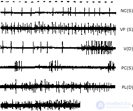 2. METHODS OF PSYCHOPHYSIOLOGY