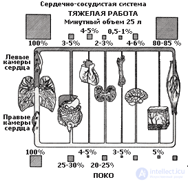 2. METHODS OF PSYCHOPHYSIOLOGY