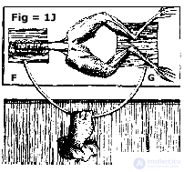 2. METHODS OF PSYCHOPHYSIOLOGY