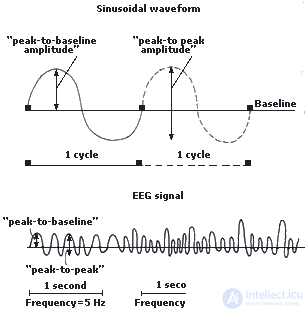 2. METHODS OF PSYCHOPHYSIOLOGY