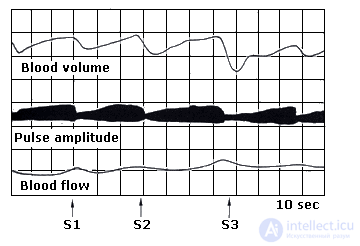 2.3. Indicators of Cardiovascular System Activity, Muscular System Activity, Eye Reactions