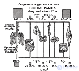 2.3. Indicators of Cardiovascular System Activity, Muscular System Activity, Eye Reactions