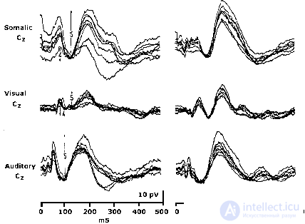 2. METHODS OF PSYCHOPHYSIOLOGY