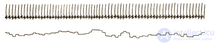 2.2. Electrical Activity of the Skin