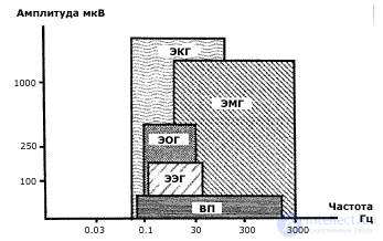 2.3. Indicators of Cardiovascular System Activity, Muscular System Activity, Eye Reactions