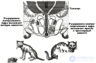   4. PSYCHOPHYSIOLOGY OF EMOTIONAL NEEDS AREA 