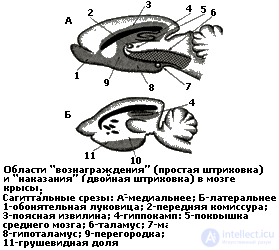   4. PSYCHOPHYSIOLOGY OF EMOTIONAL NEEDS AREA 