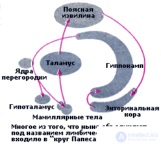   4. PSYCHOPHYSIOLOGY OF EMOTIONAL NEEDS AREA 