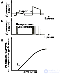 5. PSYCHOPHYSIOLOGY PERCEPTION