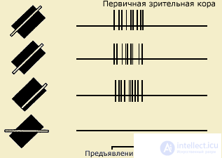 5. PSYCHOPHYSIOLOGY PERCEPTION