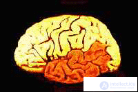 8. PSYCHOPHYSIOLOGY OF VERBAL PROCESSES