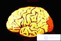 8. PSYCHOPHYSIOLOGY OF VERBAL PROCESSES