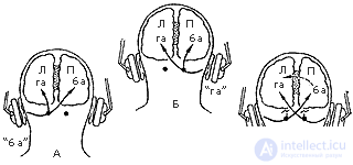 8. PSYCHOPHYSIOLOGY OF VERBAL PROCESSES