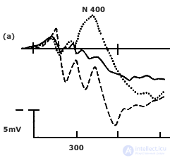 8. PSYCHOPHYSIOLOGY OF VERBAL PROCESSES