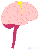 10. PSYCHOPHYSIOLOGY OF MOTOR ACTIVITY