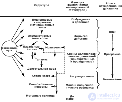 10. PSYCHOPHYSIOLOGY OF MOTOR ACTIVITY