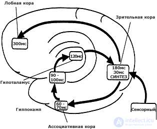 11. CONSCIOUSNESS AS A PSYCHO-PHYSIOLOGICAL PHENOMENON