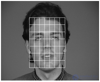 Analysis of existing approaches to face recognition