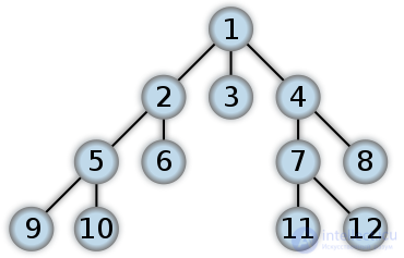 Search wide (breadth-first search)