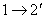   Analysis of directional couplers using the symmetry method 