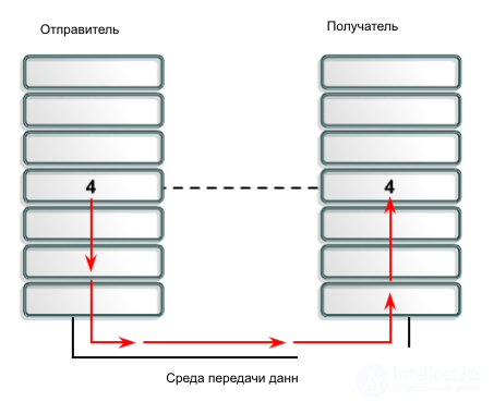   Basics of computer networks. 