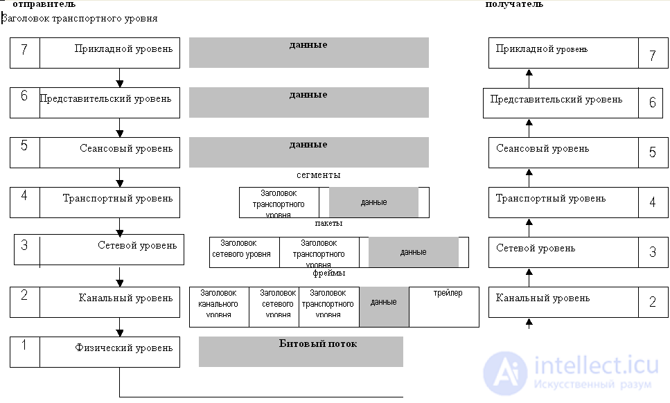   Basics of computer networks. 