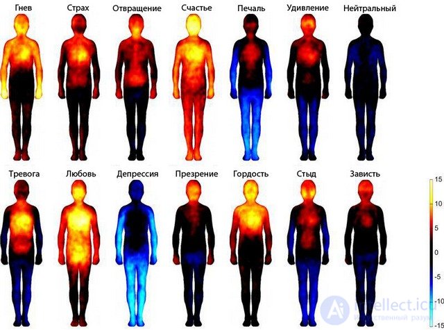   Heat map showing how we feel emotions. 