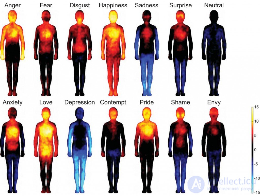   Heat map showing how we feel emotions. 