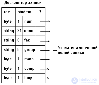 3. STATIC DATA STRUCTURE