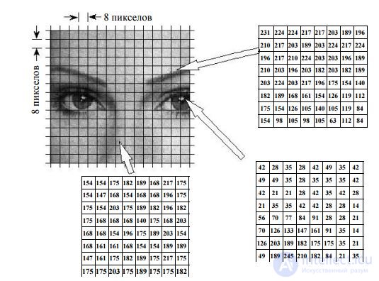   Coding methods with compression and loss of information.  Jpeg 