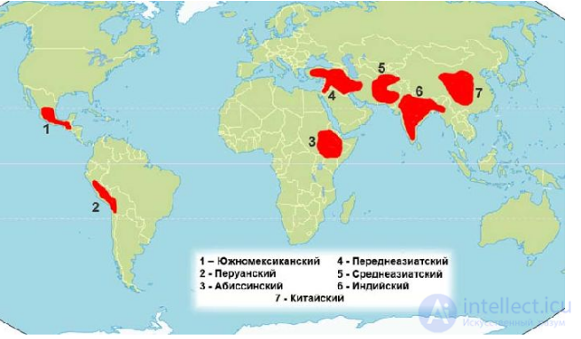 Topic 4. The Formation of Ancient Civilizations: Periodization and Features