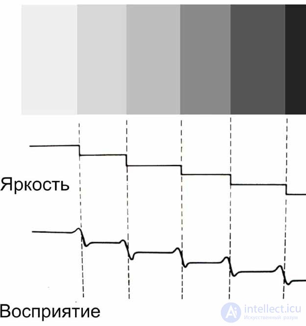   2.3.  VISUAL PHENOMENA 