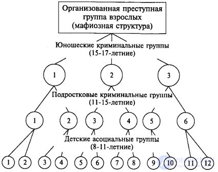   2. Characteristics of criminal groups of minors by age 