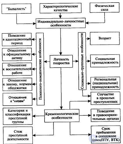 2. The structure of the criminal subculture and its functions.  The concept of the structure of the criminal subculture