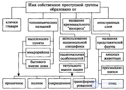   7. Name common and own criminal group and its aggressive manifestations 