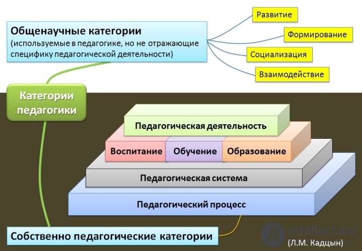 Pedagogy in the system of humanities and human sciences