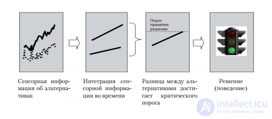   Neuroeconomics as a new discipline 