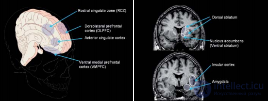 Conclusion and conclusions