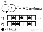   Reproduction and evolution.  Evolutionary rules.  Types of evolution.  Classes. 