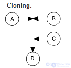 Reproduction and evolution.  Evolutionary rules.  Types of evolution.  Classes.