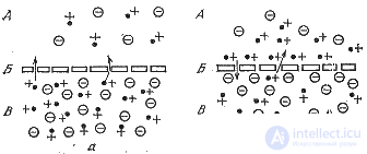   Neural networks.  Model 1 (Hodgkin-Huxley).  Model 2. Model 3 (discrete level).  Model 4 (neural network model). 