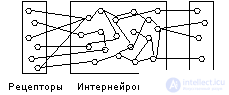   Perceptron 