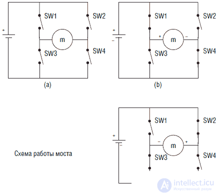 Systems of movement and drive robots